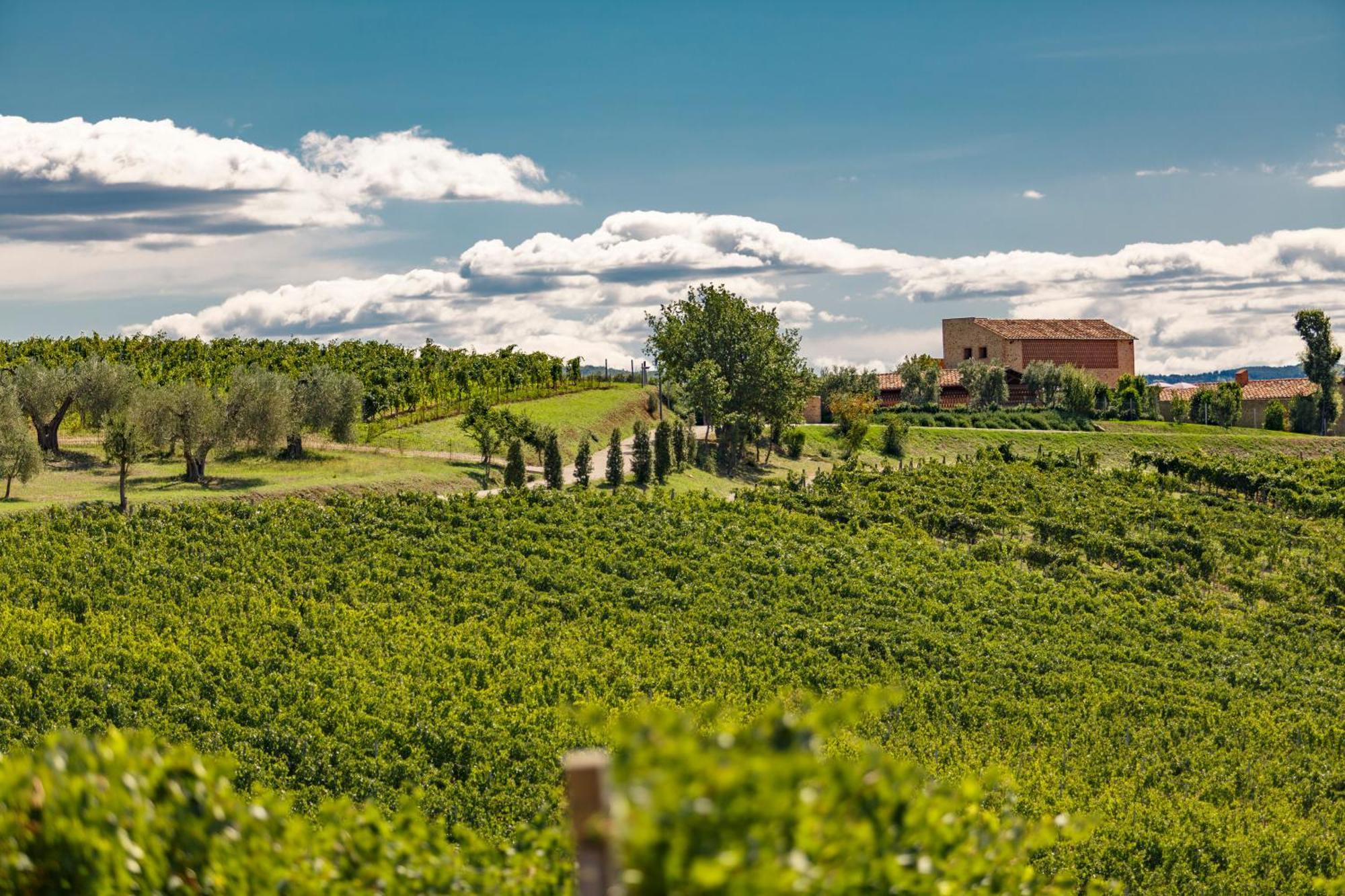Tenuta Di Montecucco - Collemassari Hospitality Cinigiano Exterior photo